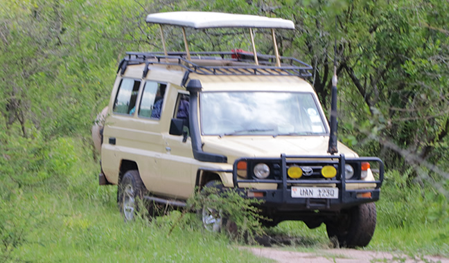 safari vehicle hire kenya