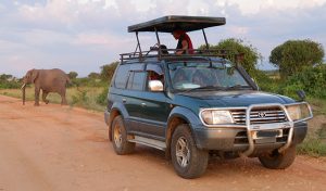 safari vehicle hire kenya